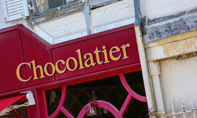 Chocolate Business Plan